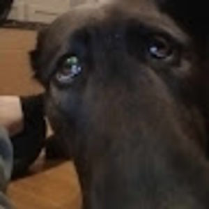 Meet your Posher, Nikki